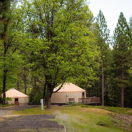 Yosemite Lakes Hillside Yurt 1 Harden Flat 외부 사진
