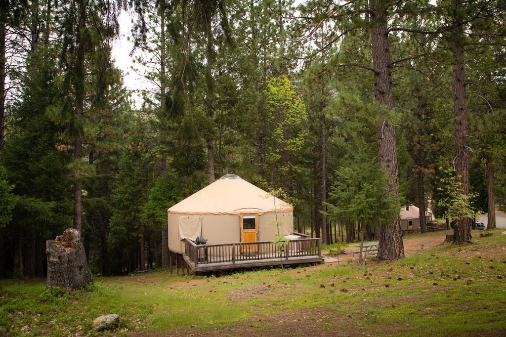 Yosemite Lakes Hillside Yurt 1 Harden Flat 외부 사진