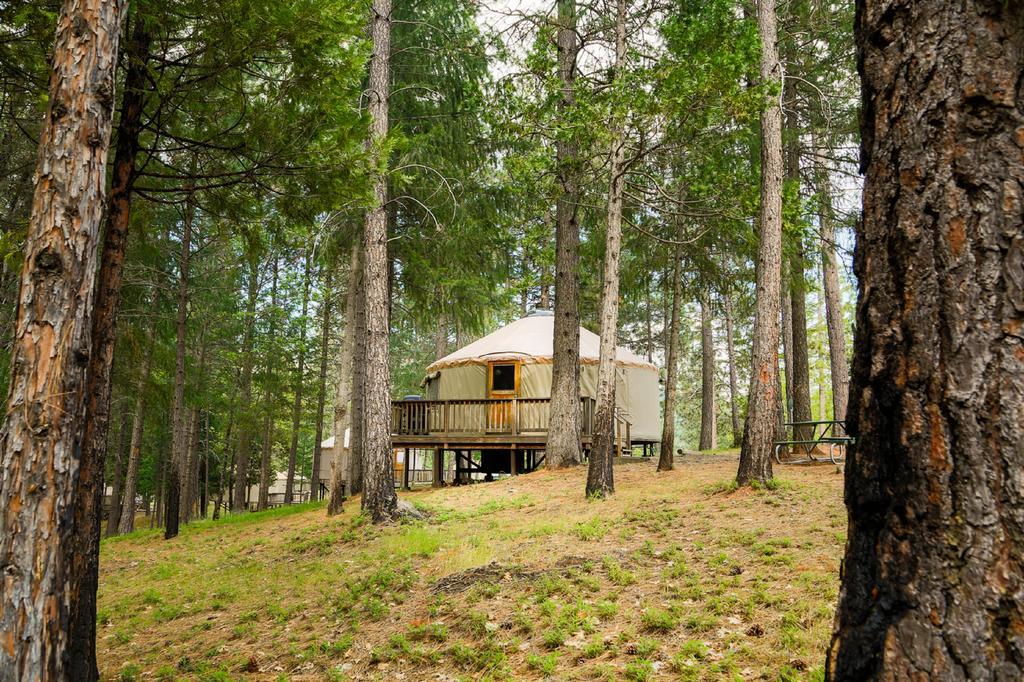Yosemite Lakes Hillside Yurt 1 Harden Flat 외부 사진